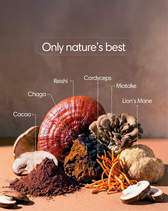 “Natural ingredients used in Clearly Not Coffee, including Reishi, Cordyceps, Lion’s Mane, Chaga, Maitake and cacao.”
